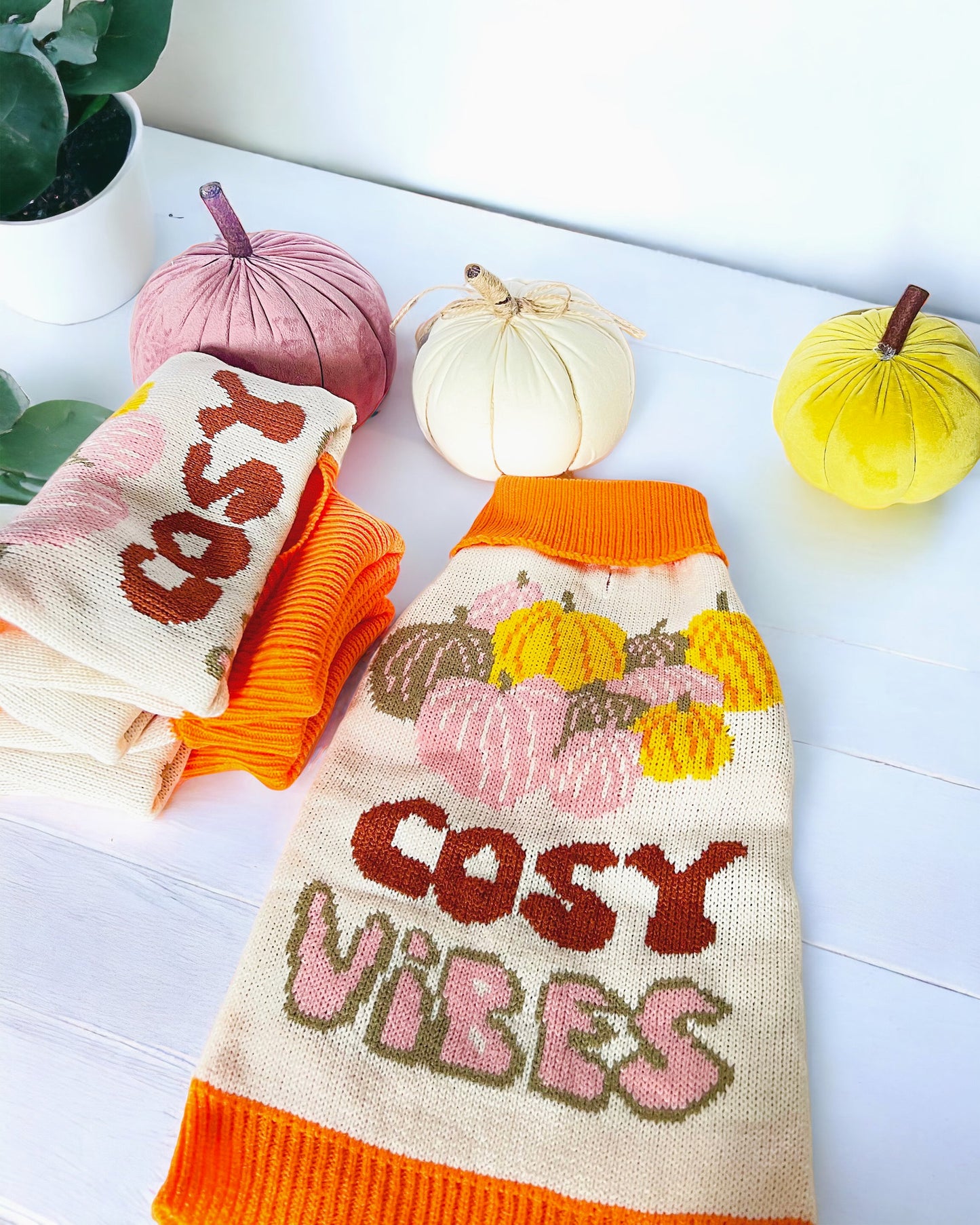 Cosy Vibes Sweater