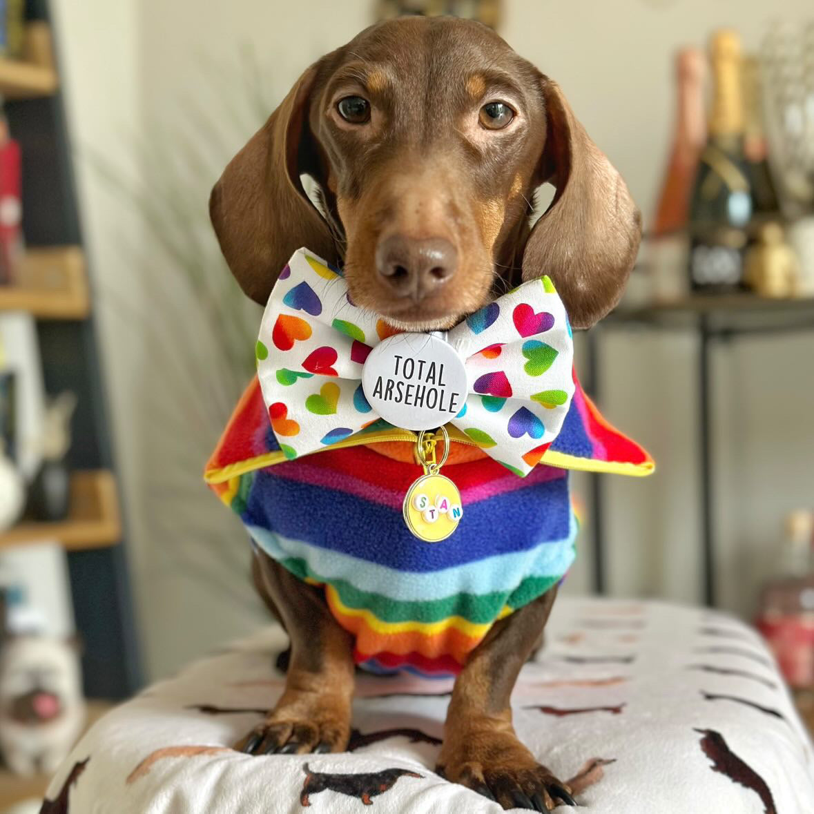 Rainbow Quarter Zip Fleece