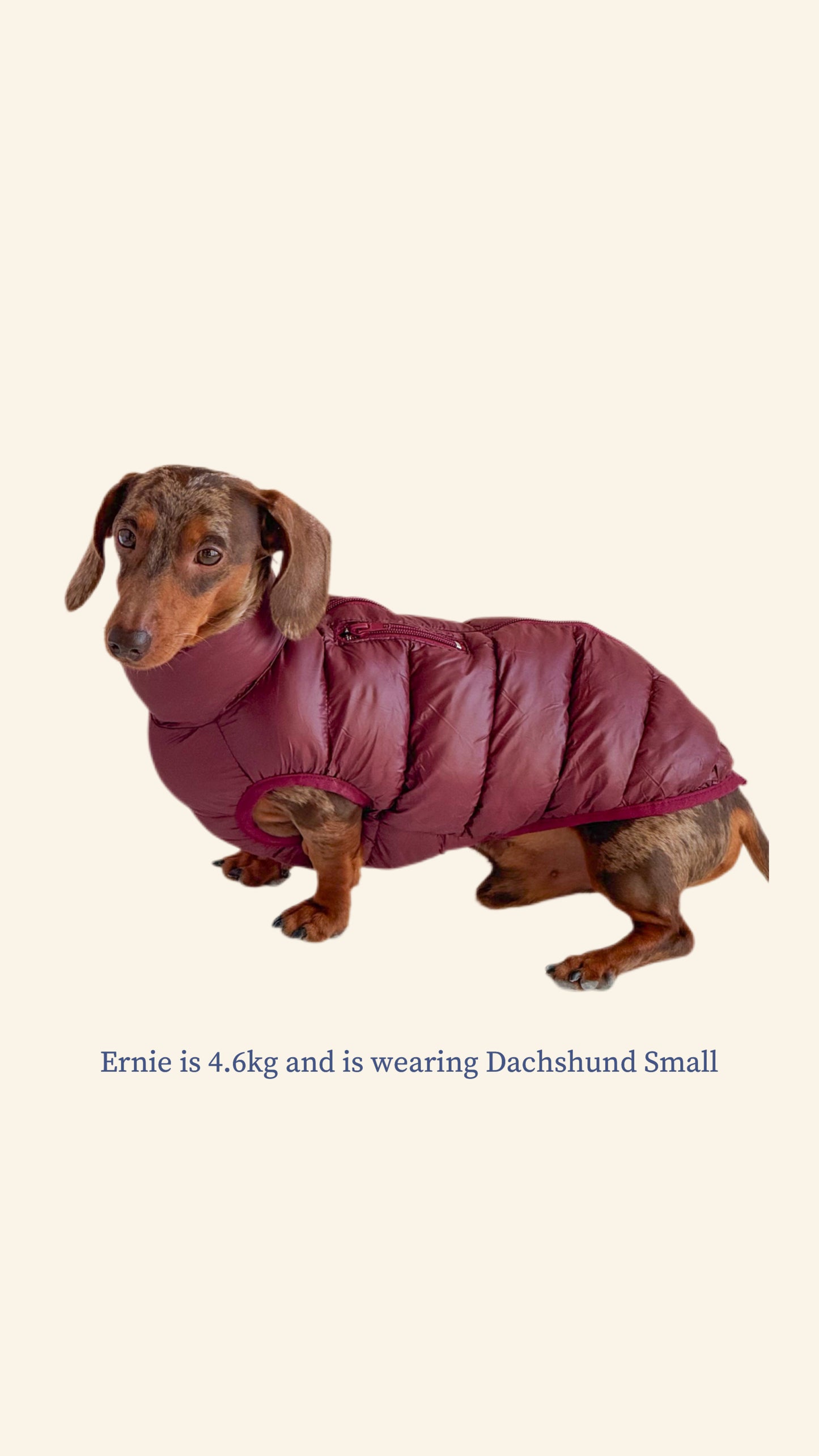 Mulberry Puffer Gilet