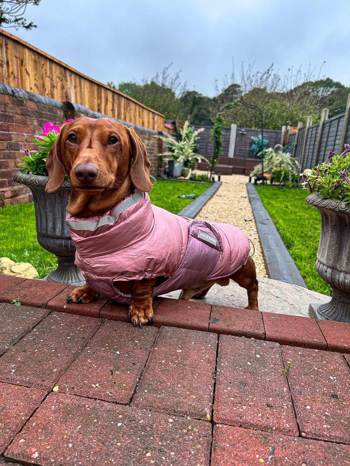 Blossom Puffer Gilet