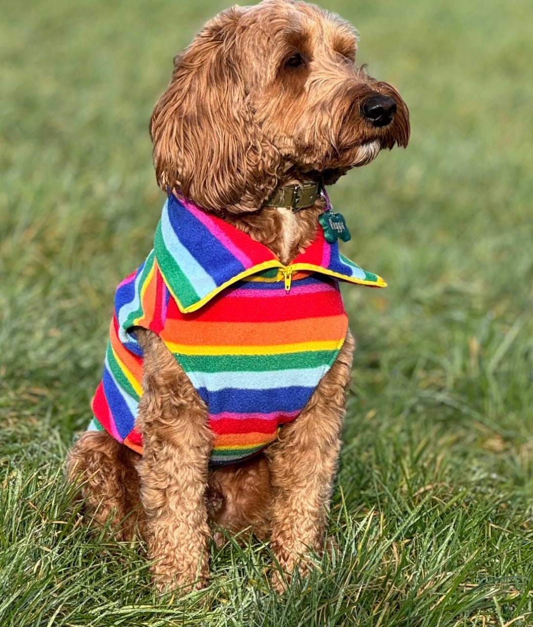 Rainbow Quarter Zip Fleece
