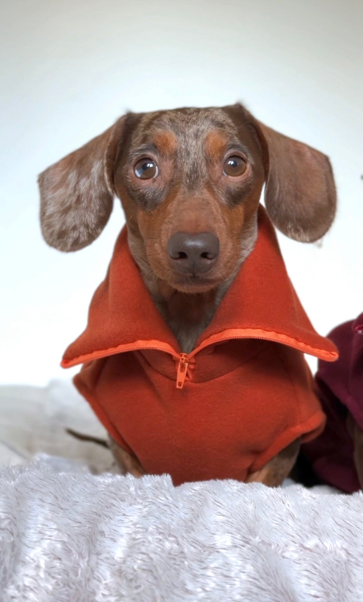 Amber Quarter Zip Fleece