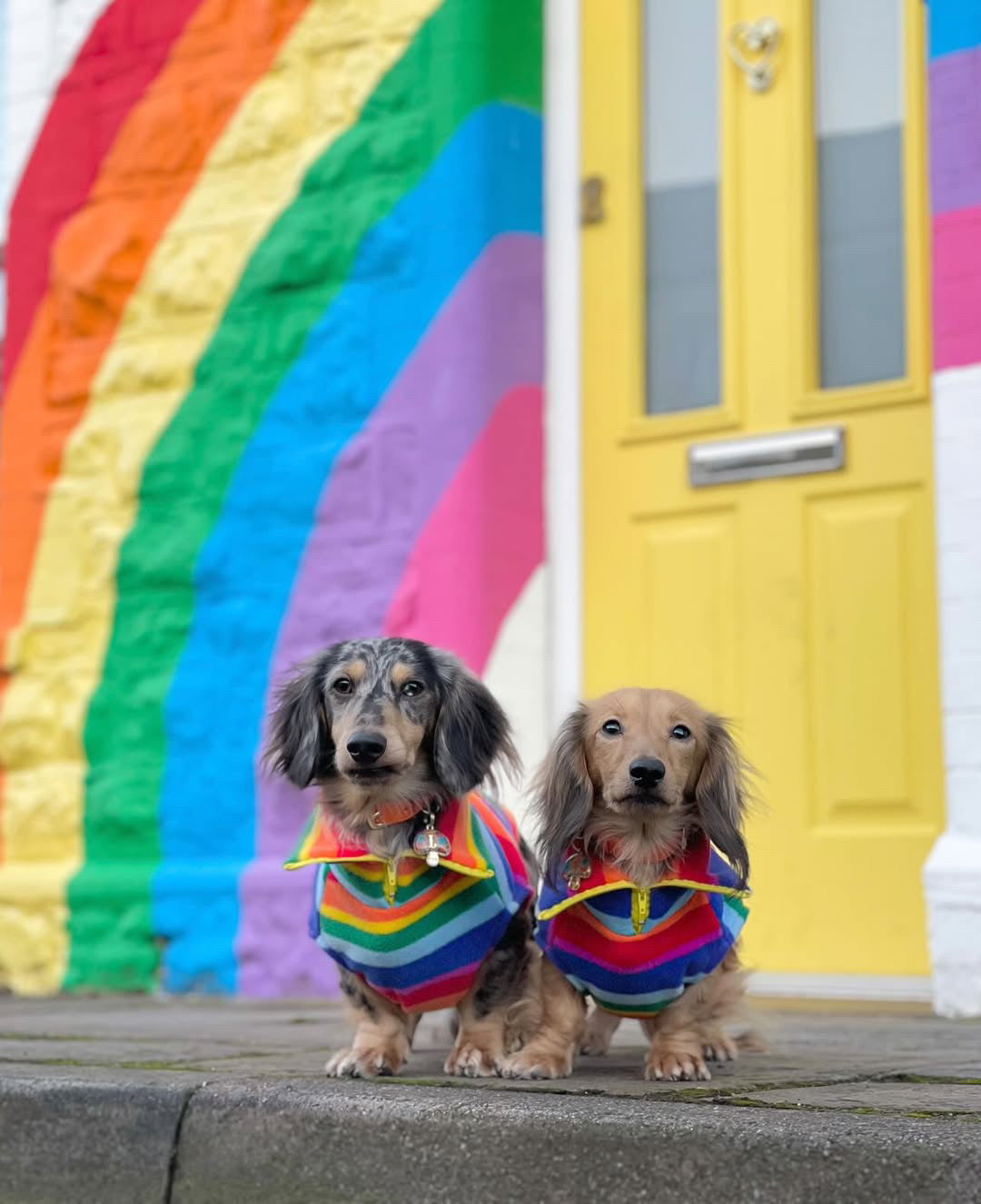 Rainbow Quarter Zip Fleece