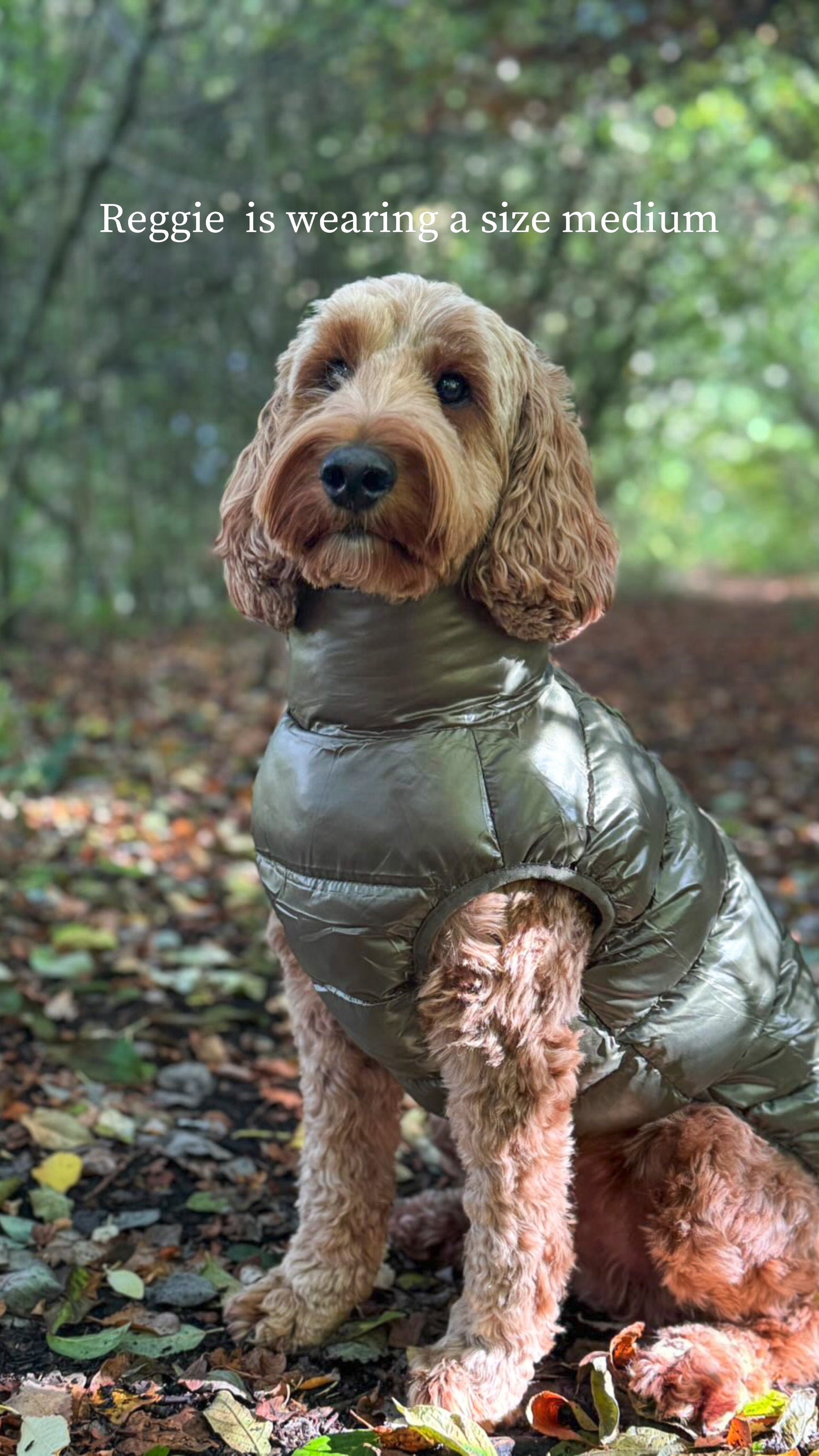 Olive Puffer Gilet