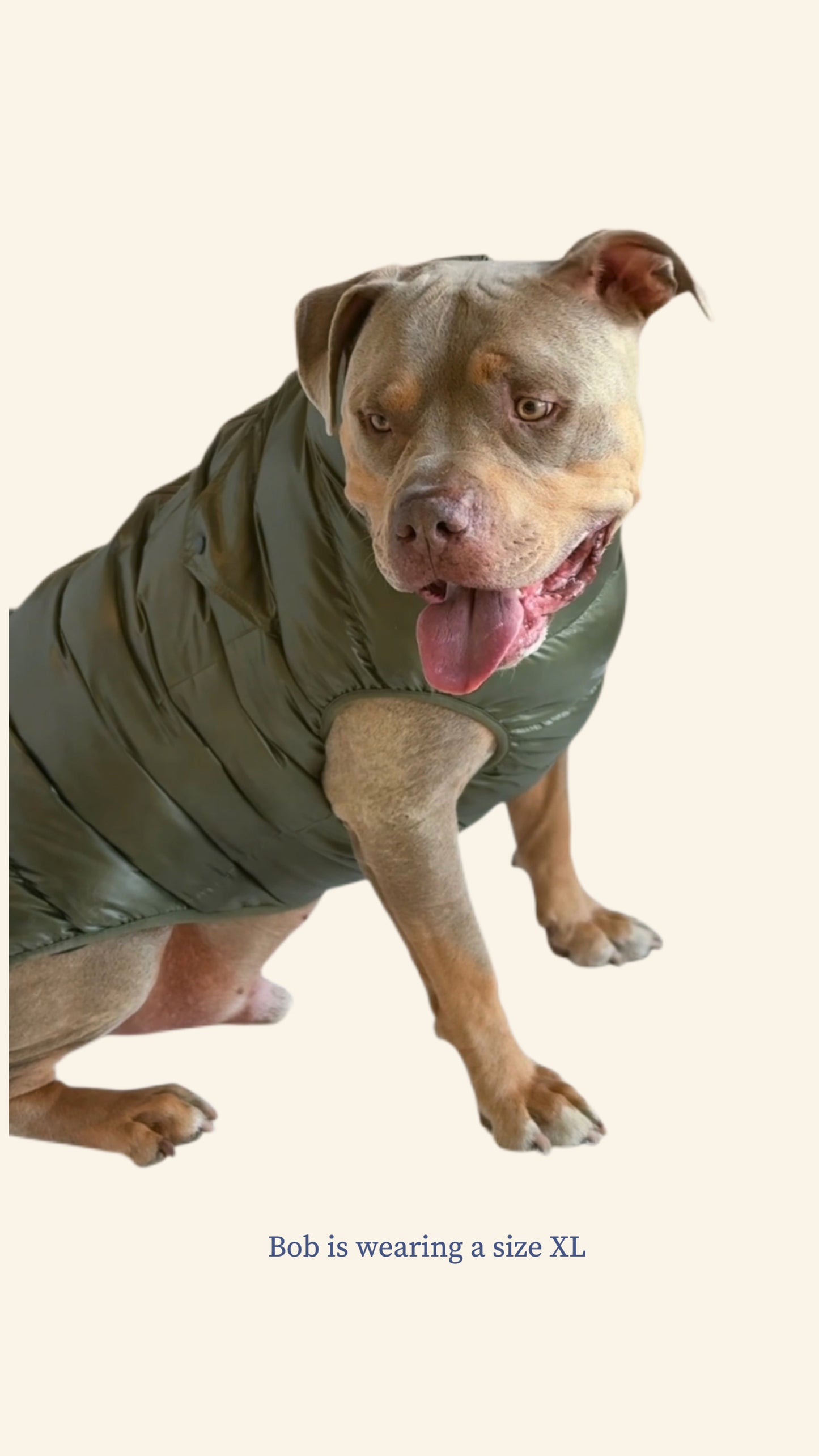 Olive Puffer Gilet