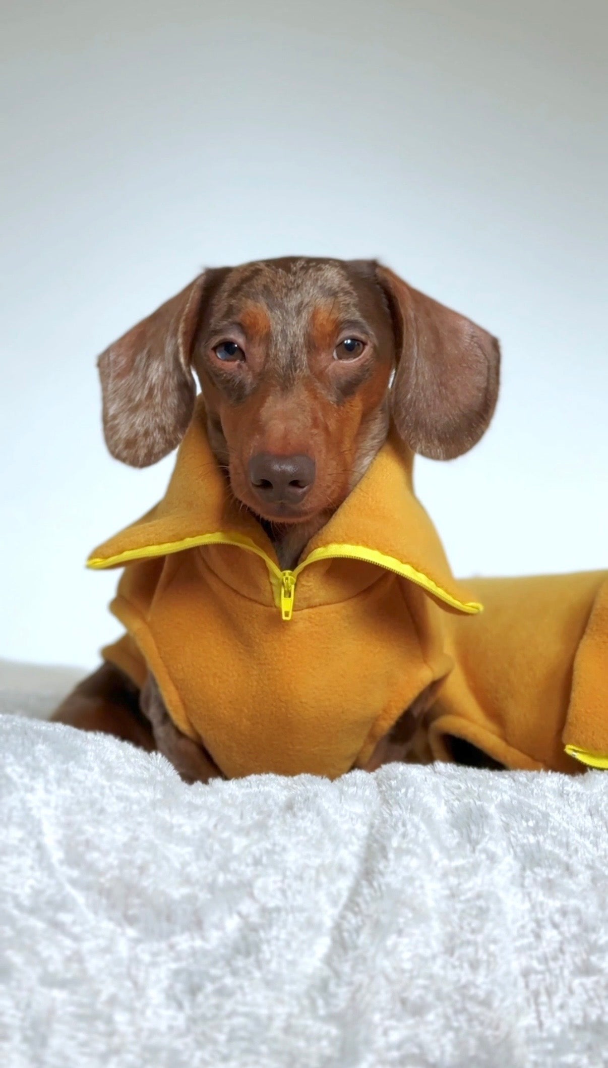 Sunflower Quarter Zip Fleece