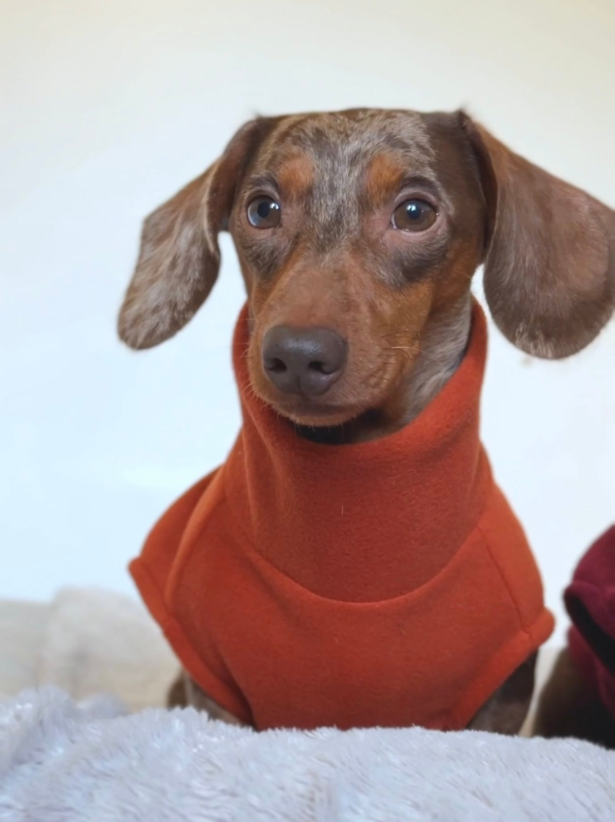 Amber Full Zip Fleece