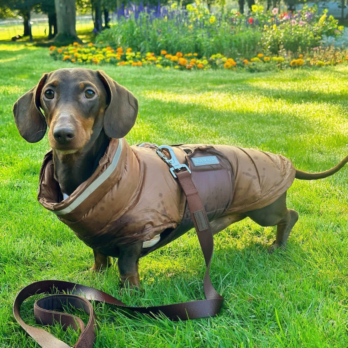 Chocolate Puffer Gilet