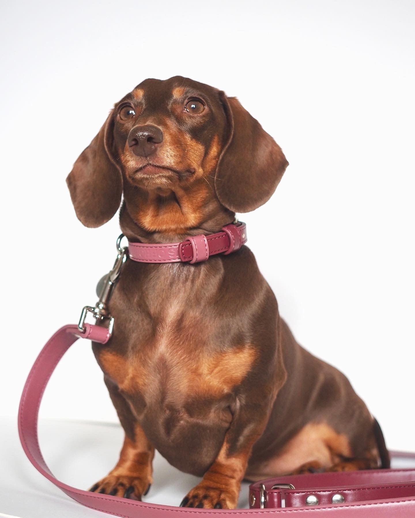 Vegan Leather Collar- Rosewood