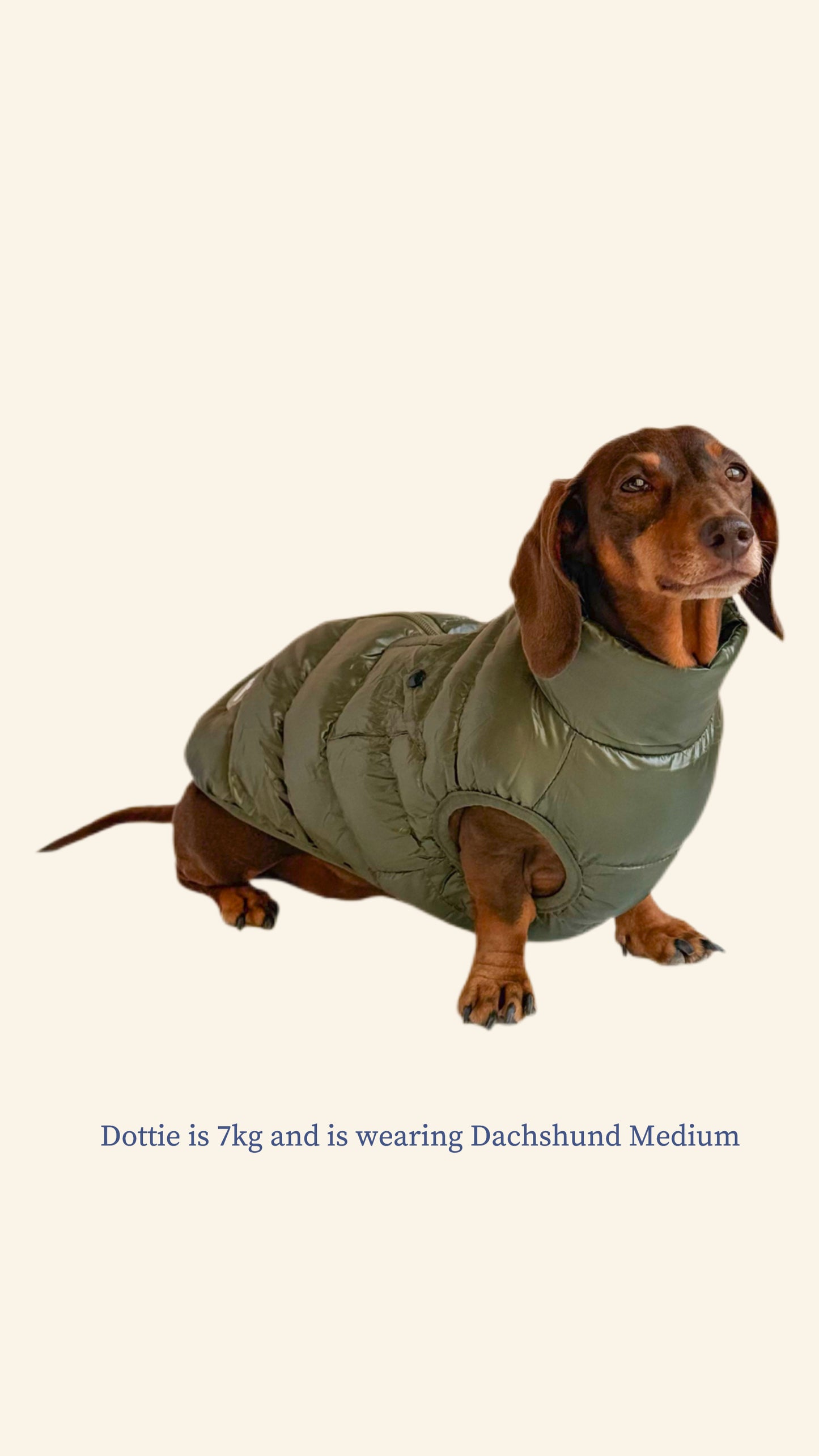 Olive Puffer Gilet