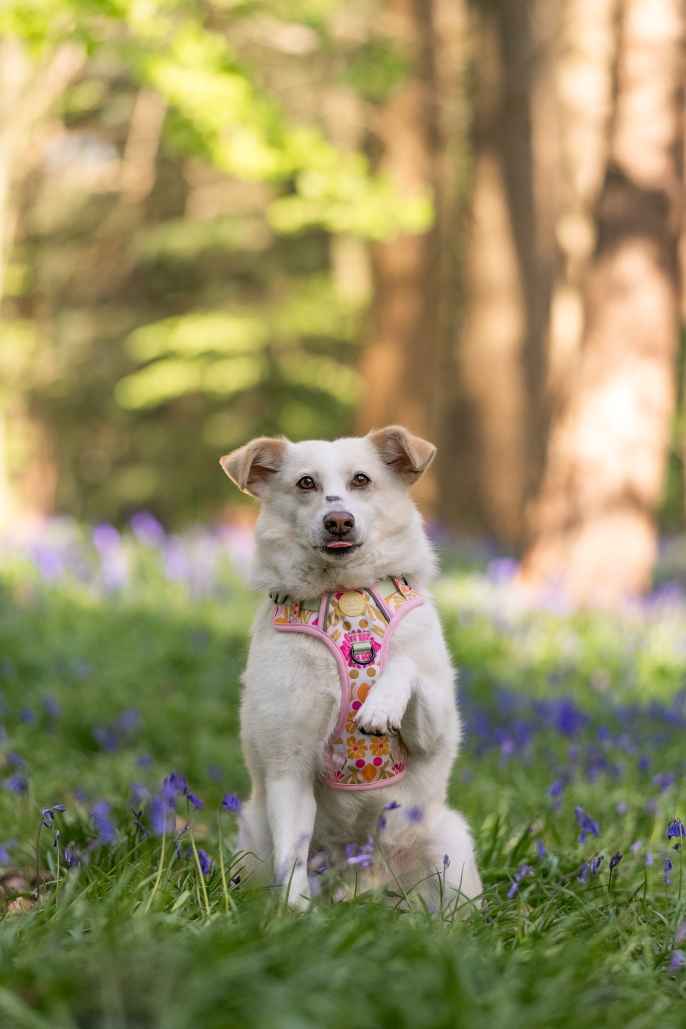 Flower Power- Trek Harness