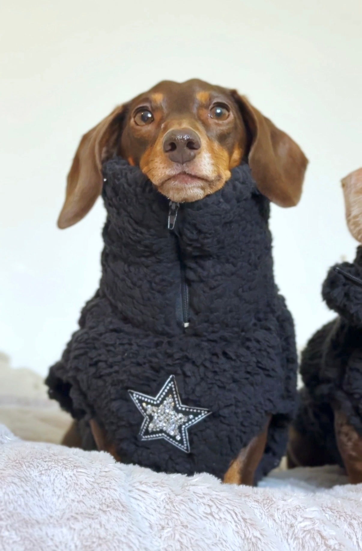 The Midnight star Quarter Zip Fleece