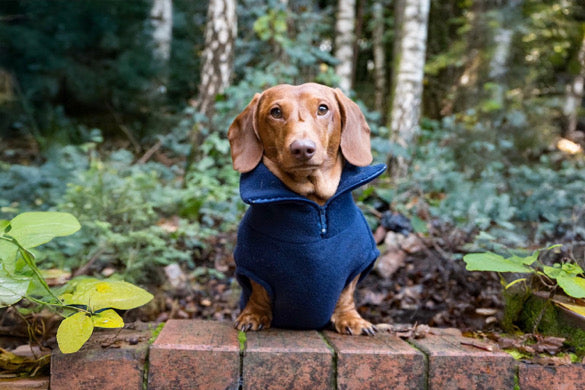 Navy Quarter Zip Fleece