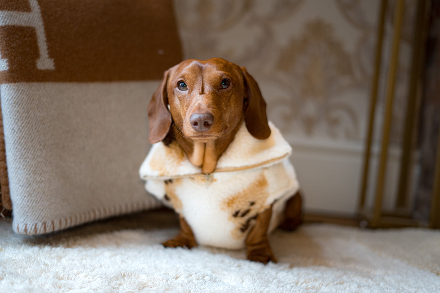 Cream Teddy Quarter Zip Fleece