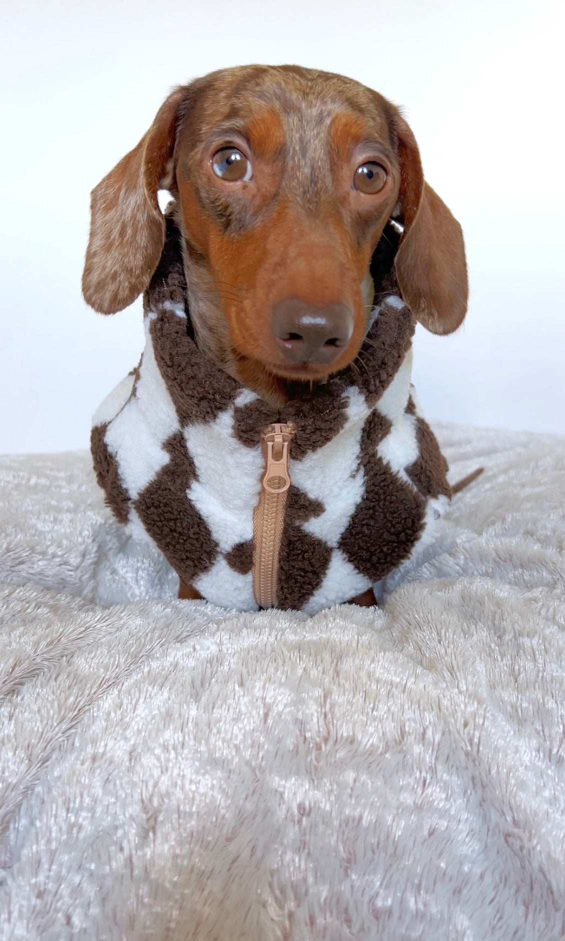 Coffee Harlequin Sherpa Jacket