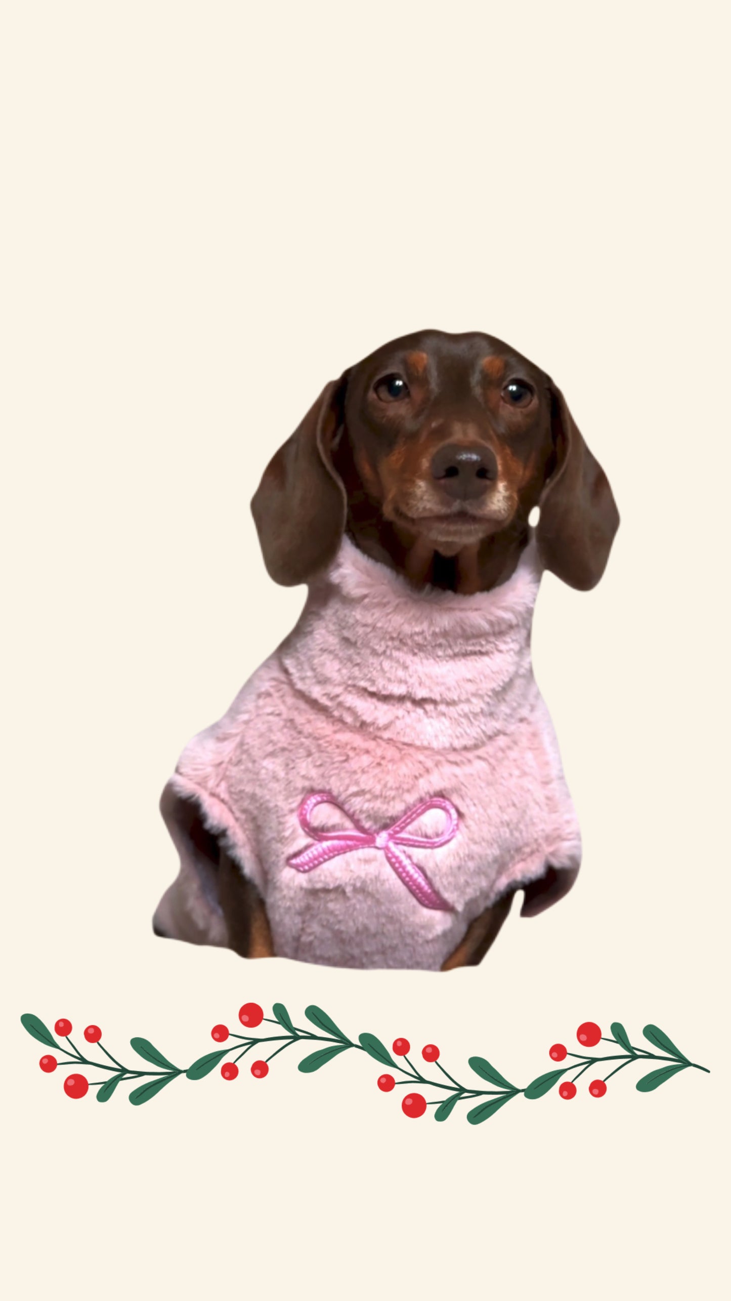 Blush Pink Faux Fur Full Zip Fleece