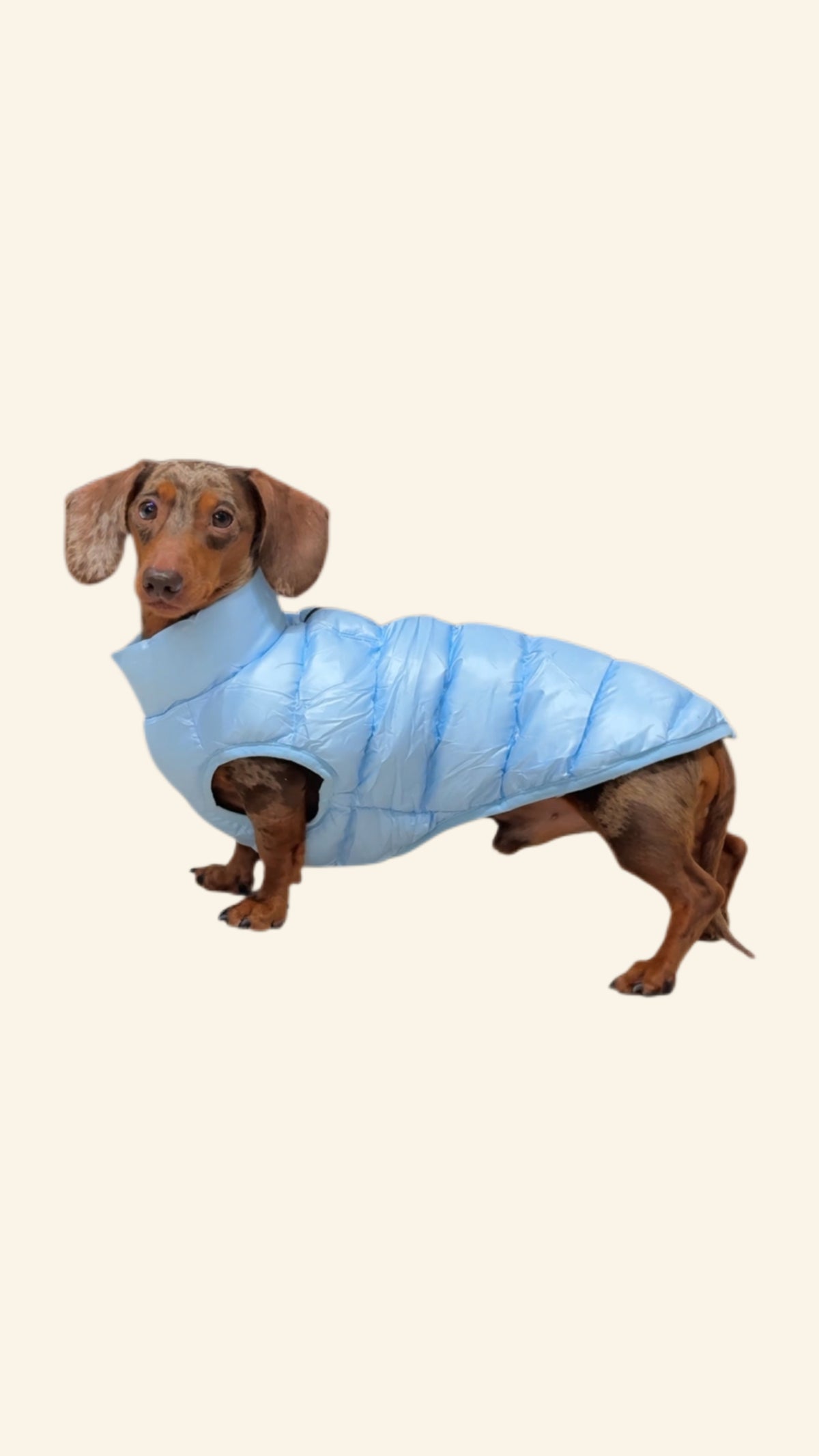 The Dottie Reversible Puffer- Cloud