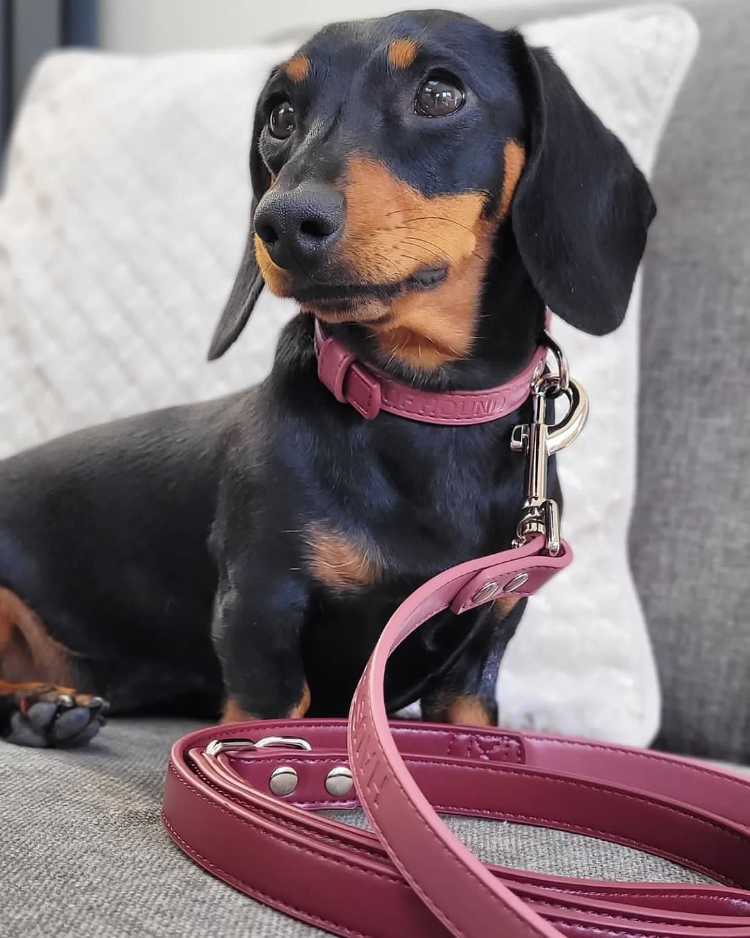 Vegan Leather Collar- Rosewood