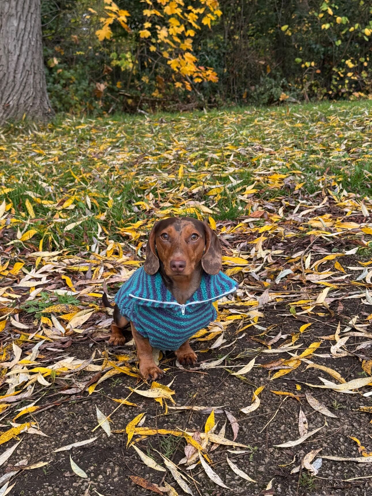 Moonberry Quarter Zip Fleece