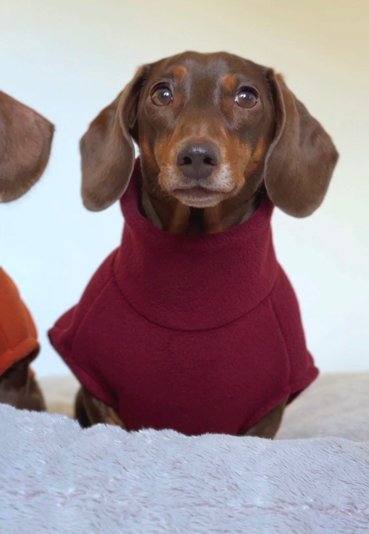 Cranberry Full Zip Fleece