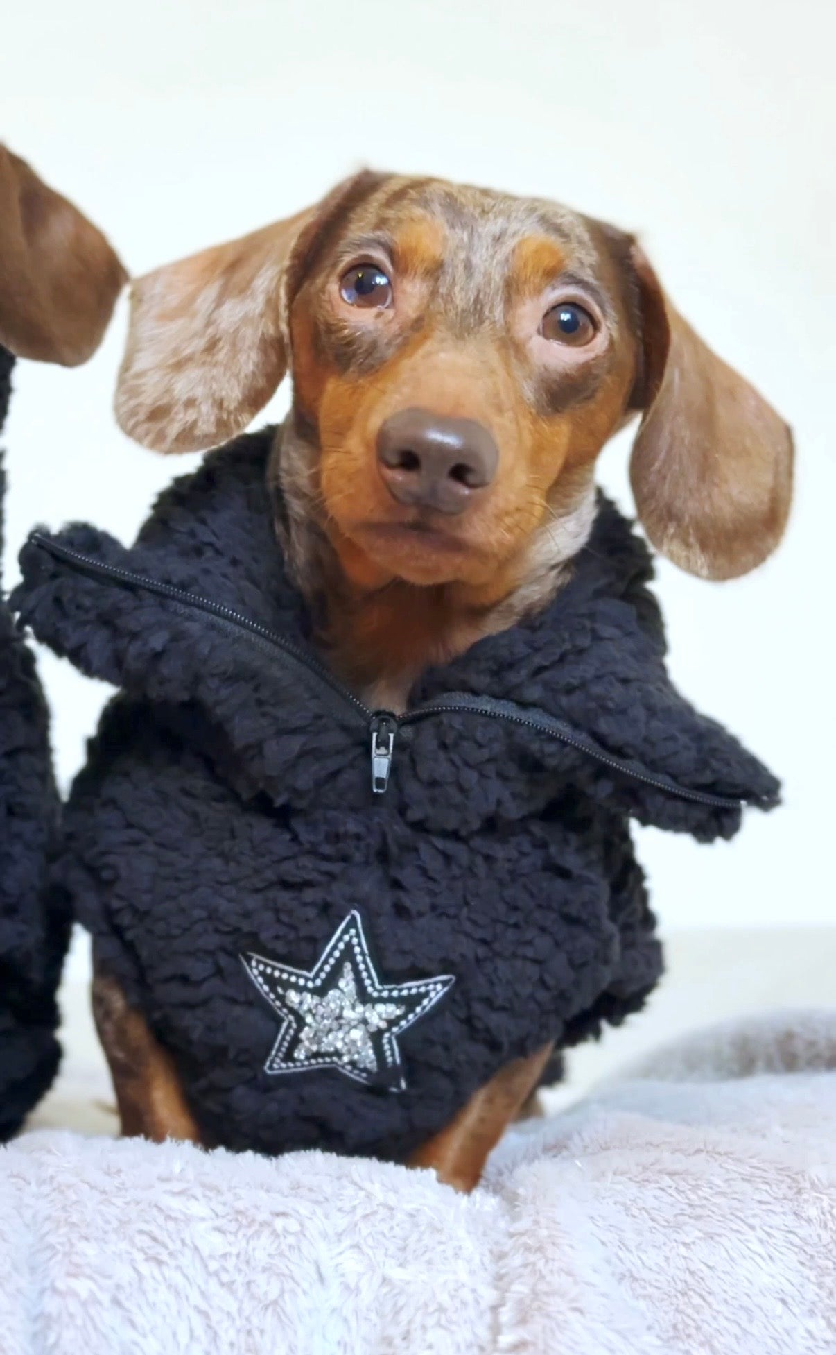 The Midnight star Quarter Zip Fleece