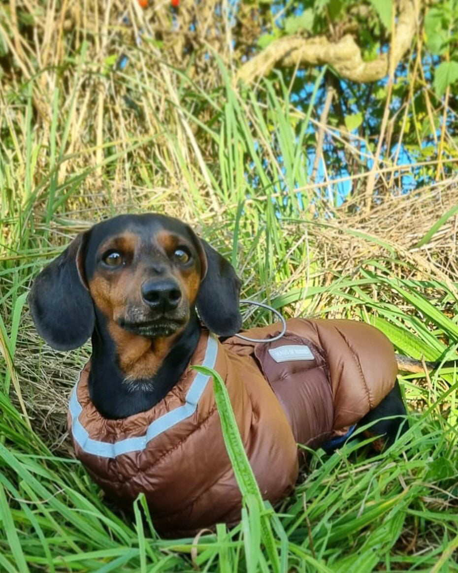 Chocolate Puffer Gilet