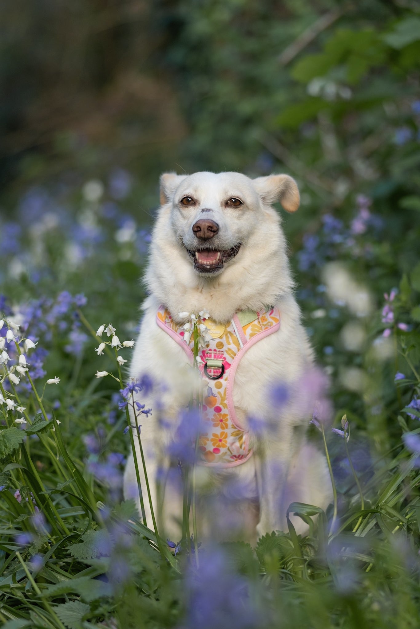 Flower Power- Trek Harness