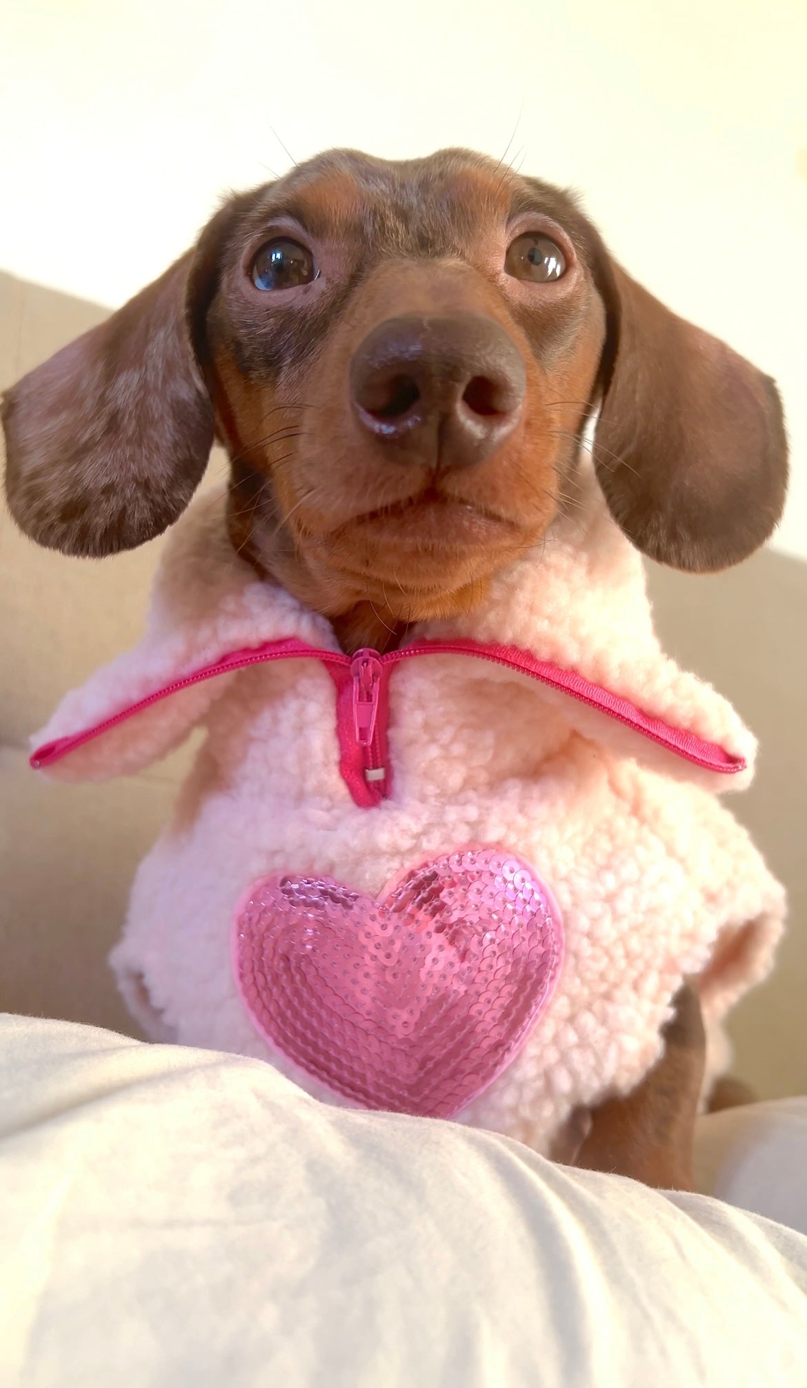 Pink Heart Quarter Zip Fleece