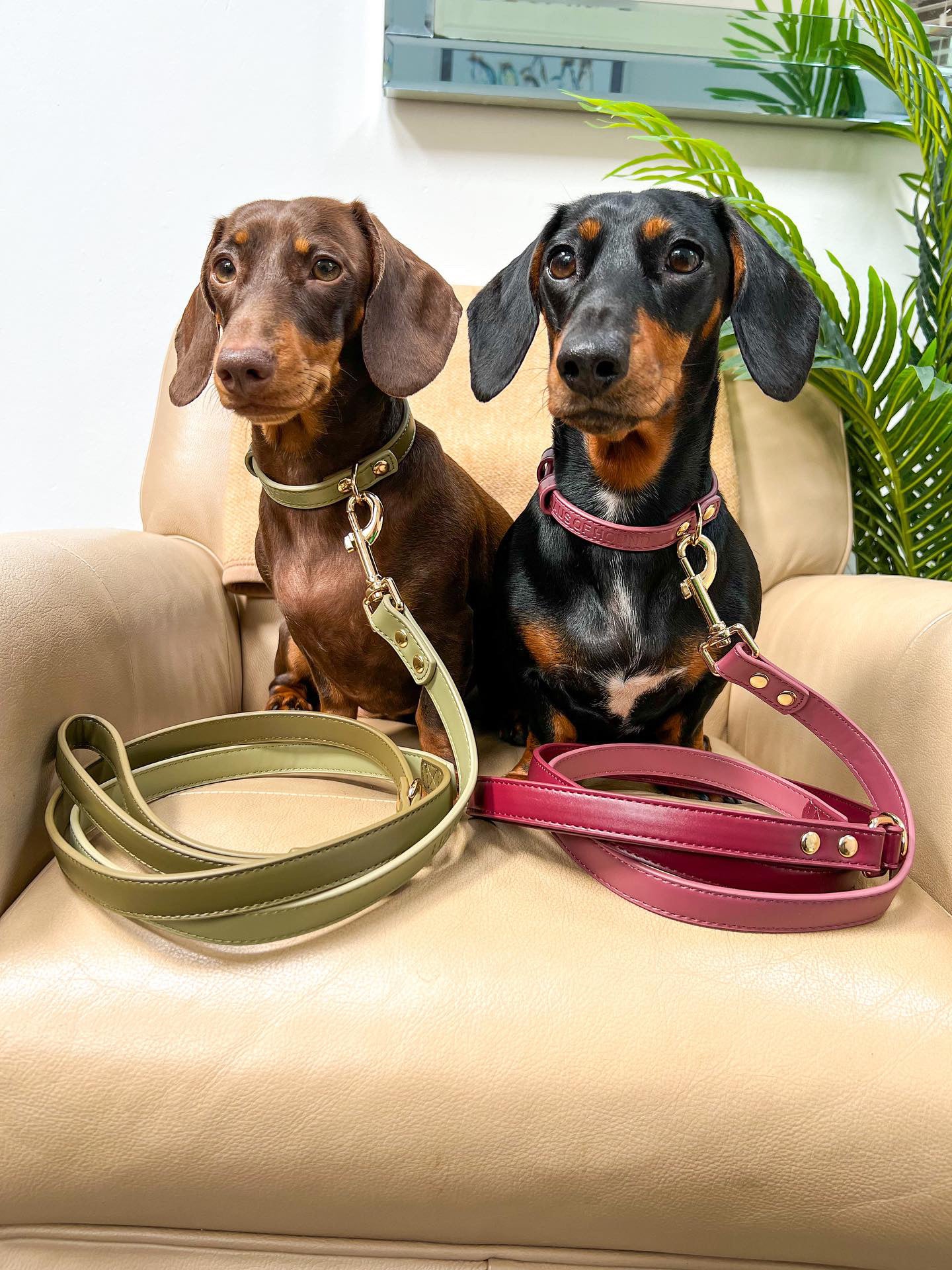 Vegan Leather Collar- Olive