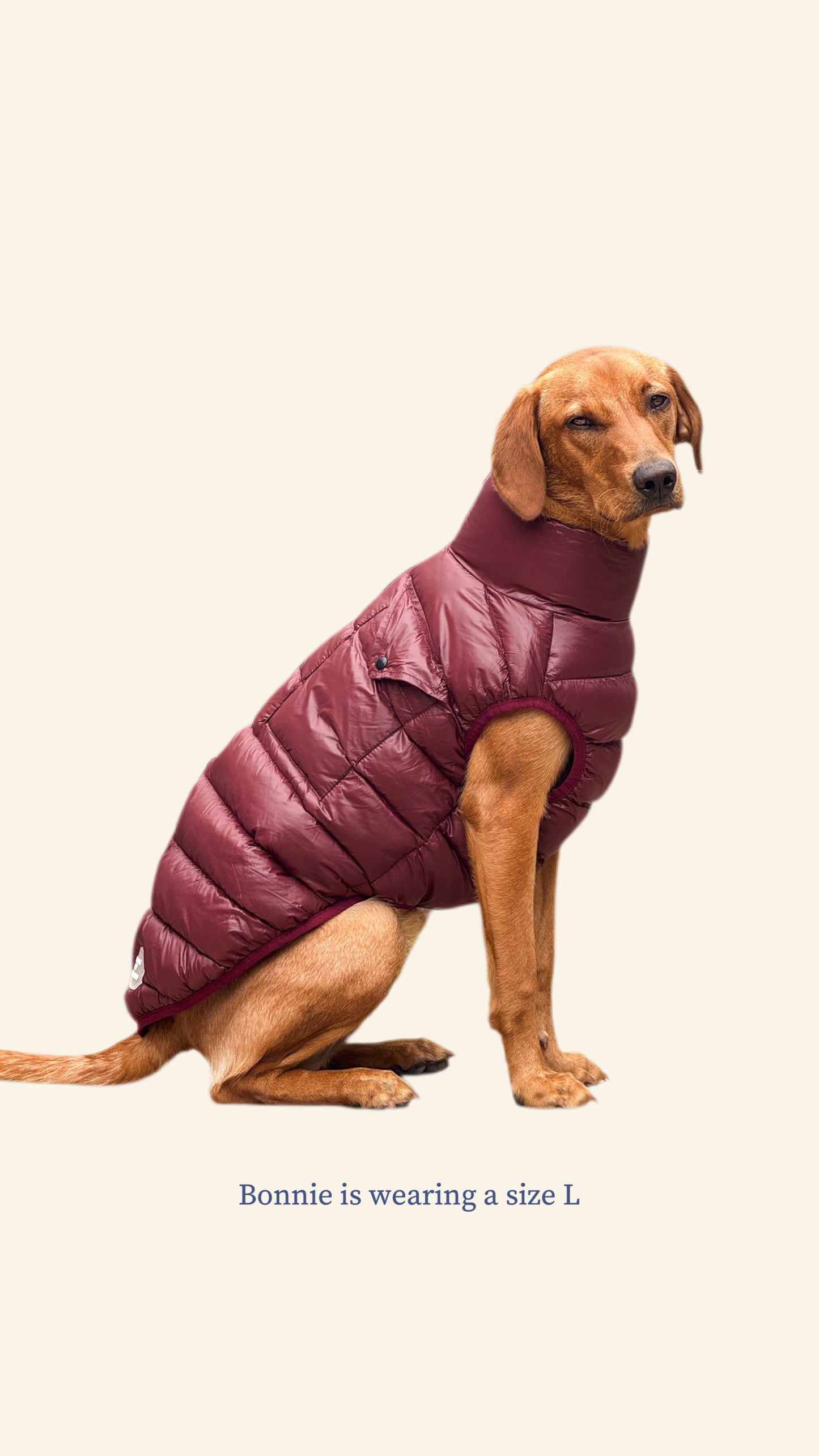 Mulberry Puffer Gilet