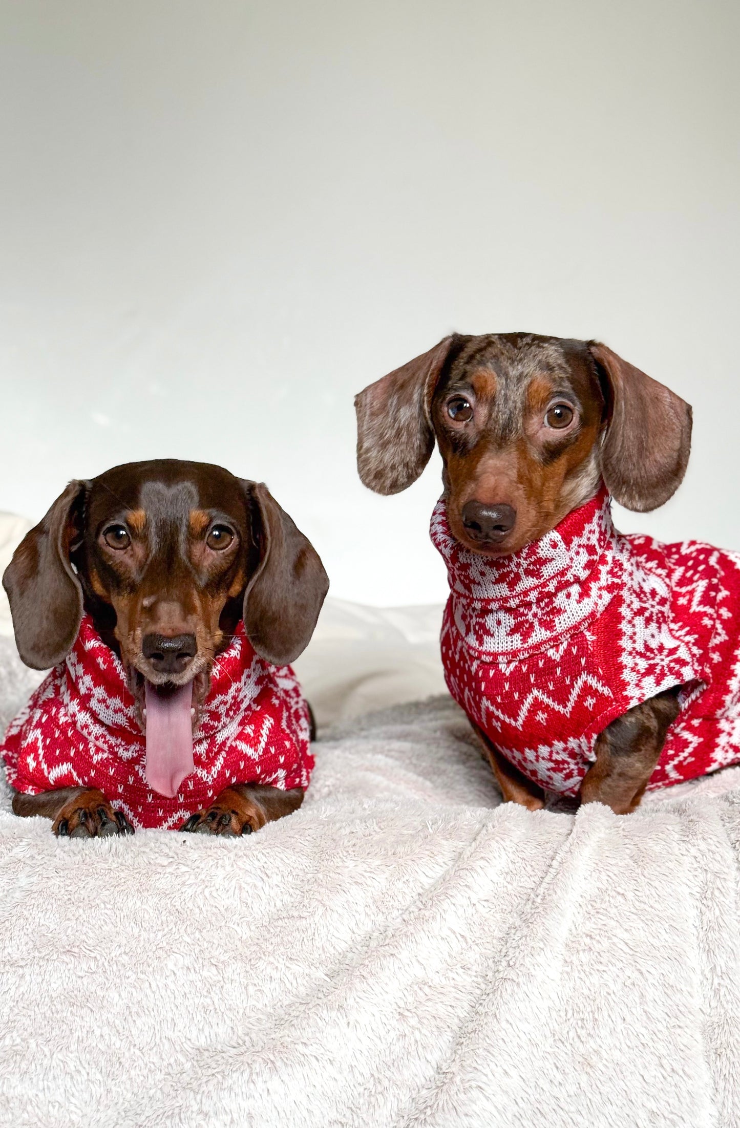 Festive Red Knit Sweater