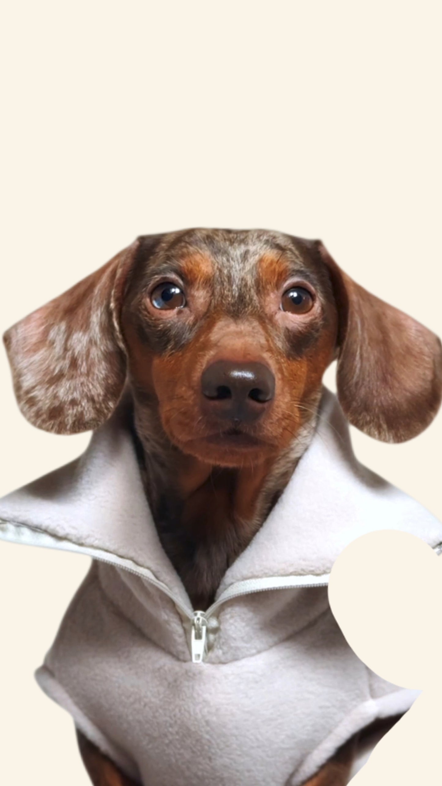 Vanilla Quarter Zip Fleece