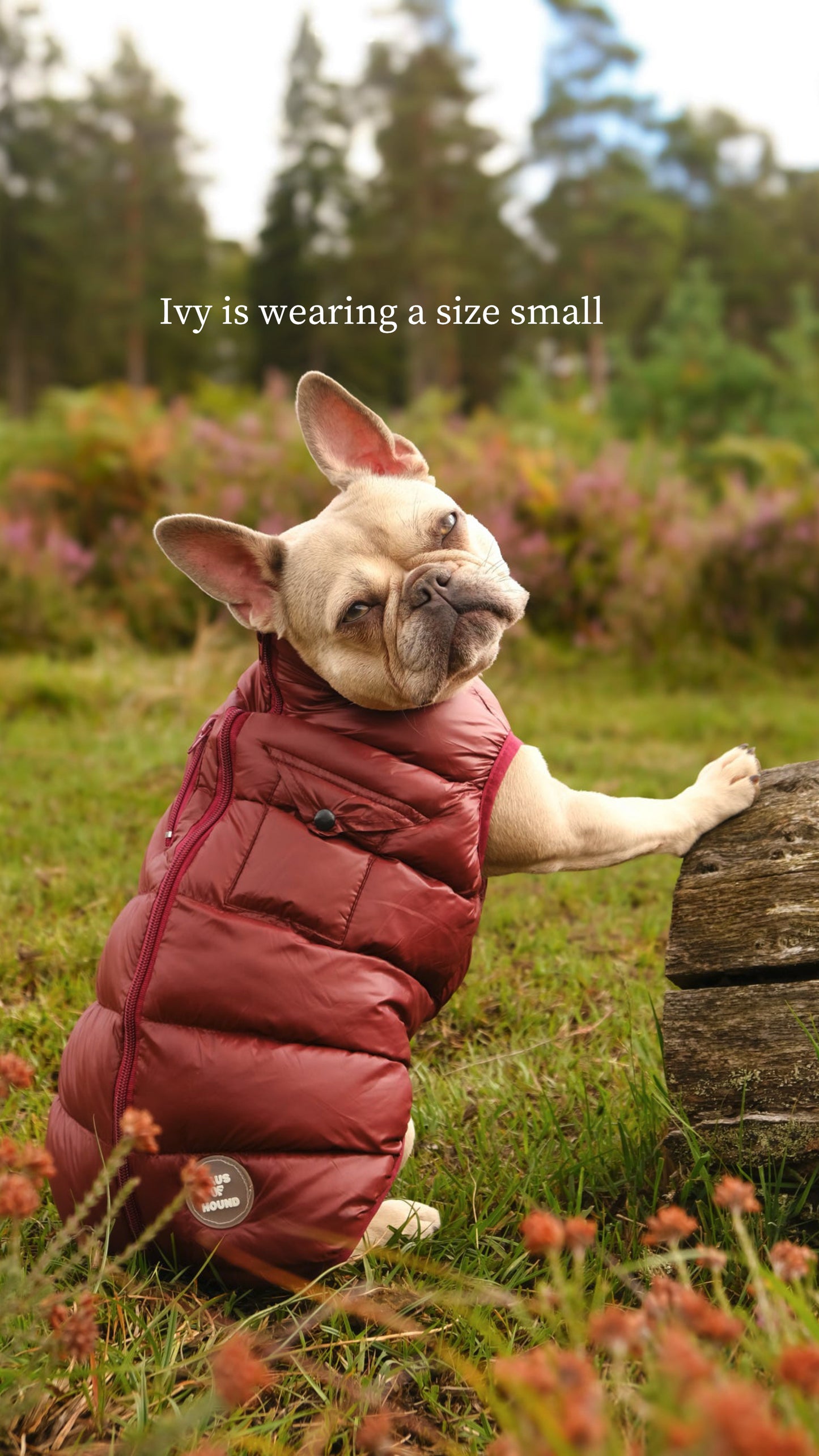 Mulberry Puffer Gilet