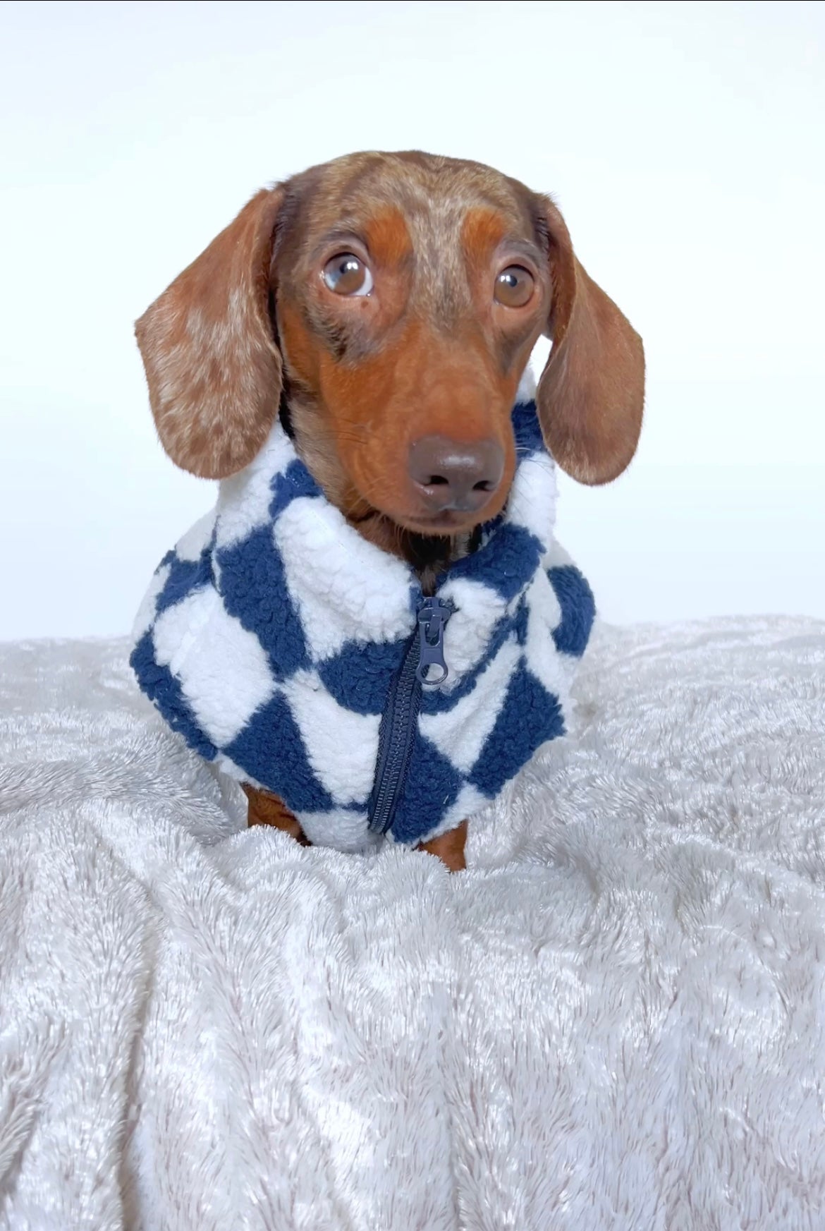 Navy Harlequin Sherpa Jacket