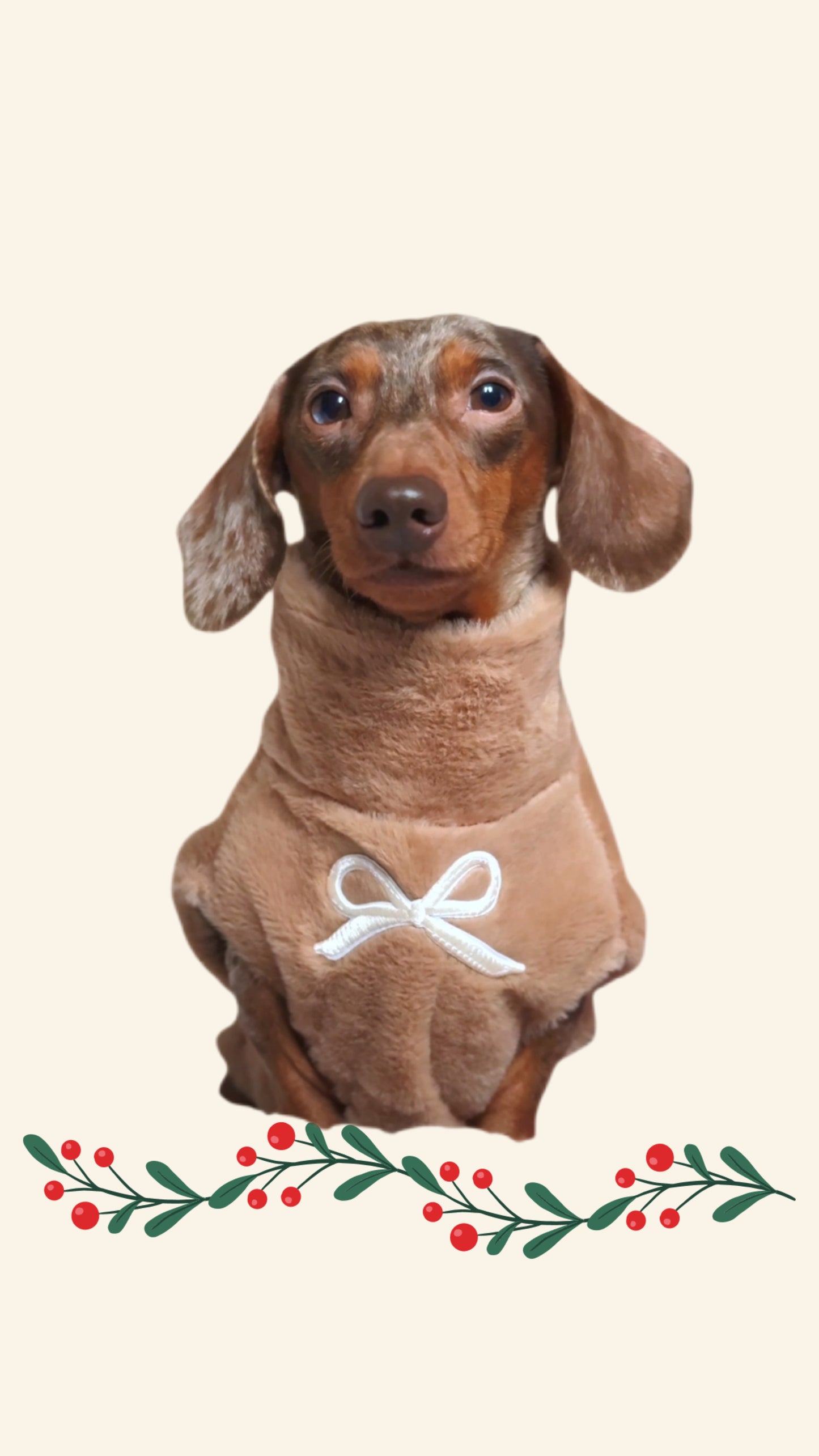 Truffle Faux Fur Full Zip Fleece