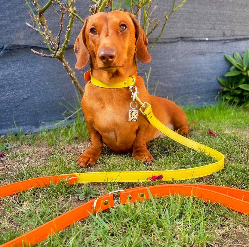 Vegan Leather Collar- Orange Sunrise