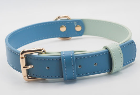 Vegan Leather Collar- Sea Foam