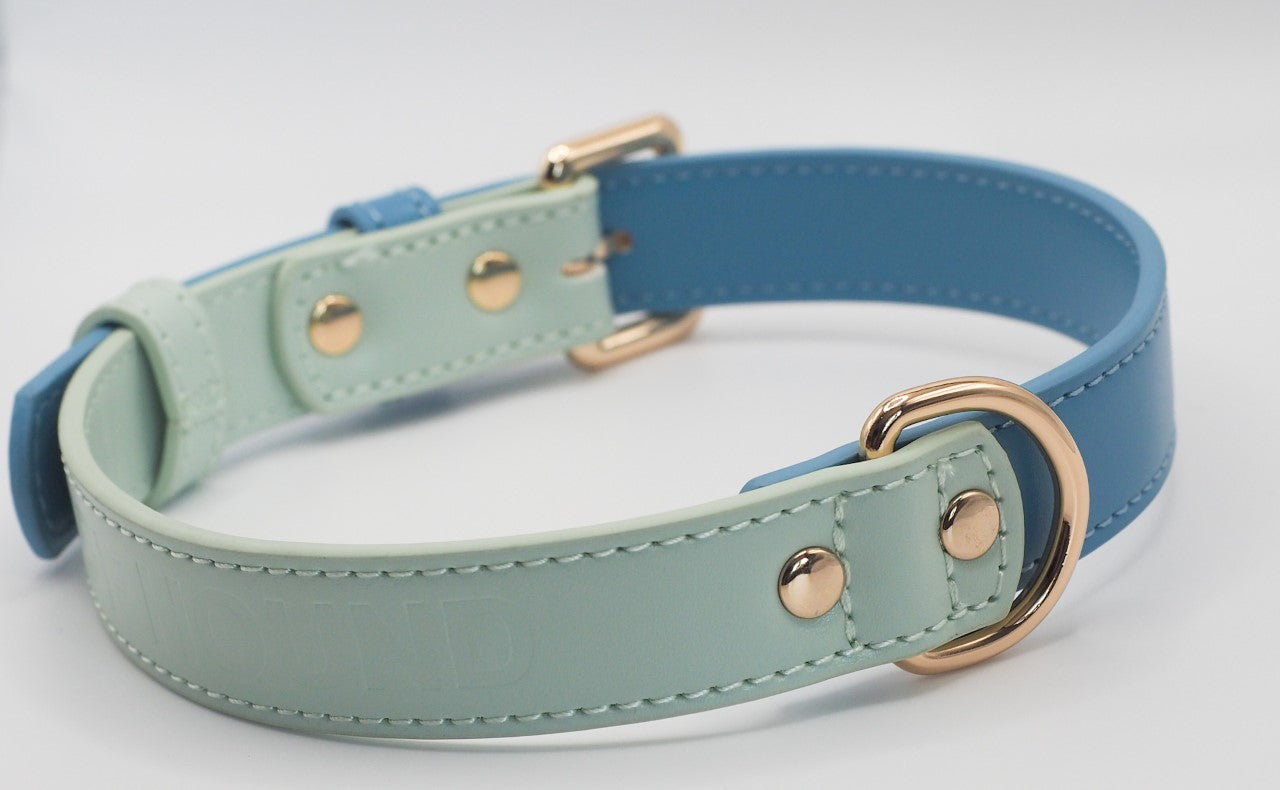 Vegan Leather Collar- Sea Foam